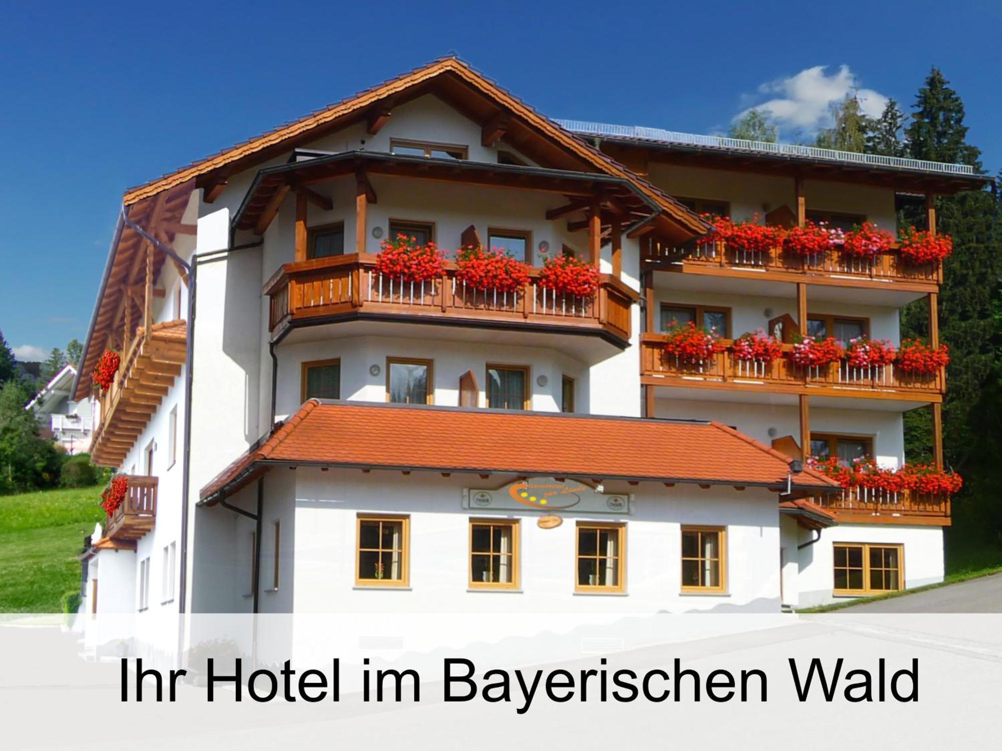 Garnihotel Zur Linde - Bayerischer Wald - Aktivcard Mit 154 Kostenfreien Leistungen - Kostenloser Parkplatz Лоберг Екстериор снимка